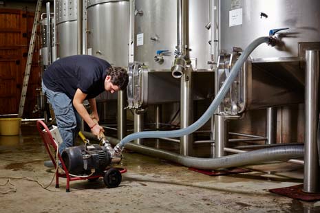 Bild für: Weinherstellung & -förderung