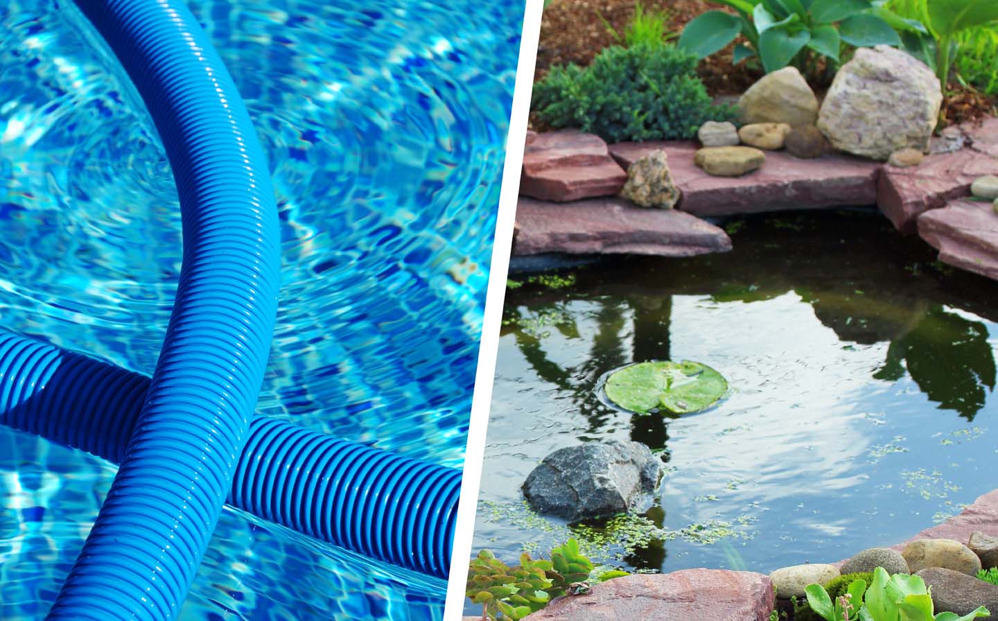 Bild für: Pool & Teich